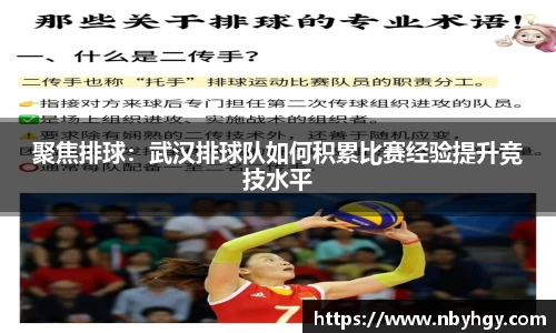 聚焦排球：武汉排球队如何积累比赛经验提升竞技水平