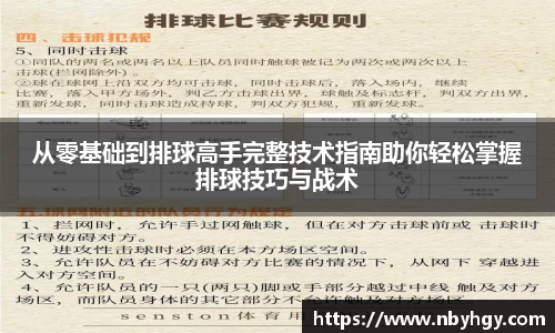 从零基础到排球高手完整技术指南助你轻松掌握排球技巧与战术