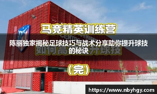 陈丽独家揭秘足球技巧与战术分享助你提升球技的秘诀